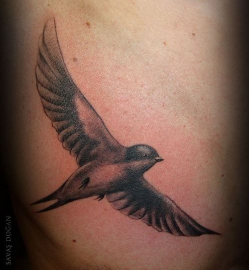 Black white swallow tattoo w/ fully spread wings