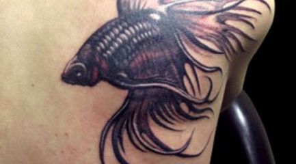 Back shoulder siamese fighting fish tattoo