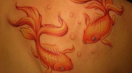 Traditional goldfish tattoo on girls back