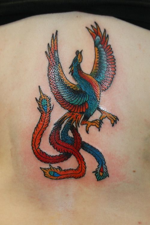 Back phoenix tattoo in blue orange and red with long tail feathers