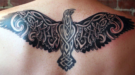 Bird tattoo with Celtic knots on guys back