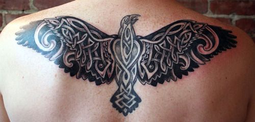 Bird tattoo with Celtic knots on guys back