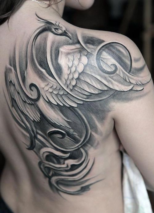 Albatross tattoo design on Behance