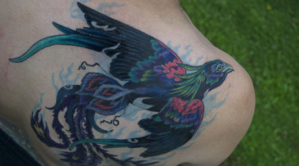 Blue shoulder phoenix tattoo