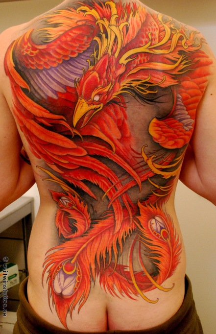 Huge fiery phoenix tattoo on guys back