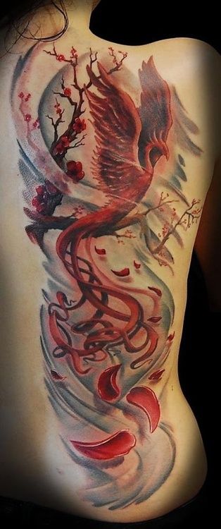 Phoenix and cherry blossom tattoo on girls side