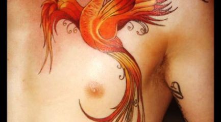 Phoenix tattoo on guys chest in fire colors